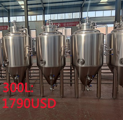Konfiguration und Angebot für 300-Liter-Biergärtanks