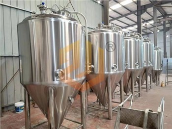 500L oberer Mannloch-Bierfermentationstank
